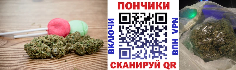 Cannafood марихуана  Купить закладки  Алзамай 
