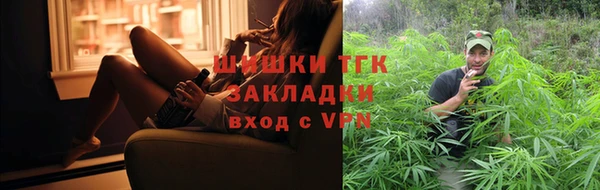 мдпв Богородицк