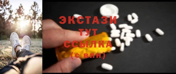 мдпв Богородицк