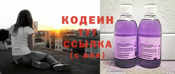 мдпв Богородицк