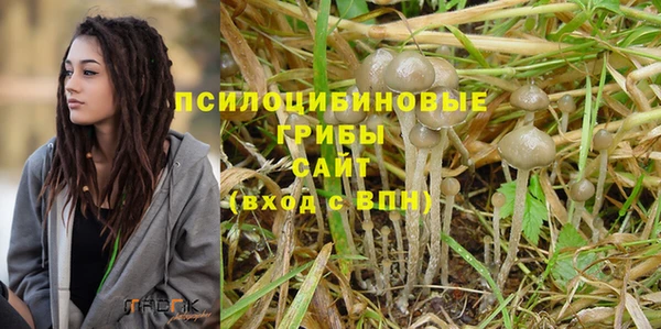 мдпв Богородицк